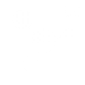 LOGO ITD